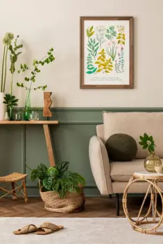 Qu’est-ce que le statut LMNP ?